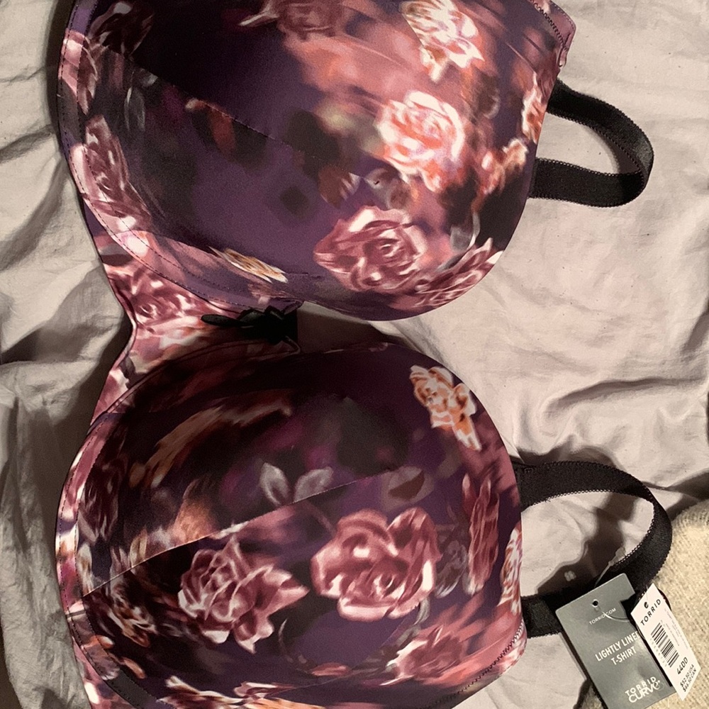 Lightly lined T-shirt (Torrid) bra, purple (floral) and a brown one